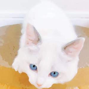 刘涛操逼毛片视频
