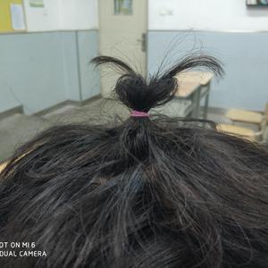 刘涛操逼毛片视频
