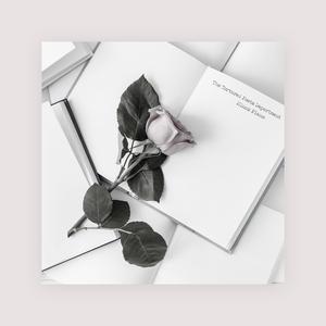 刘涛操逼毛片视频
